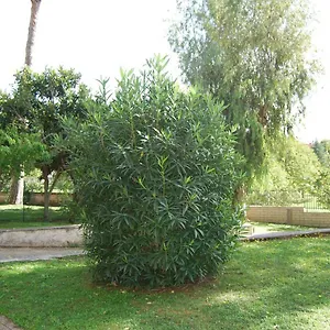 Eur Roma